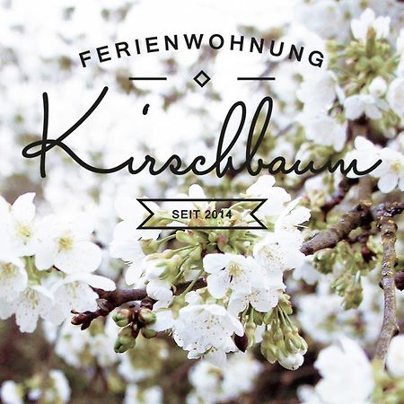 Ferienwohnung Kirschbaum Rust Buitenkant foto