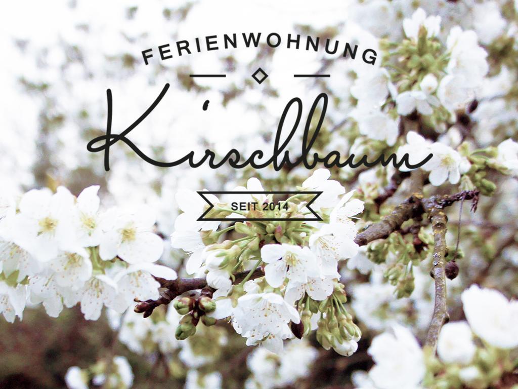 Ferienwohnung Kirschbaum Rust Buitenkant foto